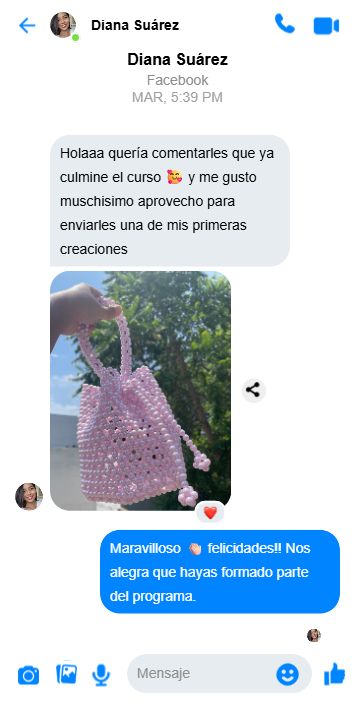 facebook_messenger_chat (2)-compressed
